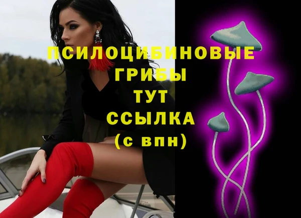 ECSTASY Алексин