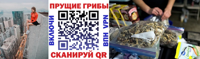 блэк спрут онион  Канск  Галлюциногенные грибы GOLDEN TEACHER  наркота 