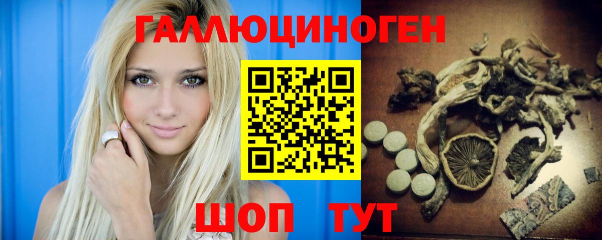 Канск  Галлюциногенные грибы Psilocybine cubensis  Вход с VPN 