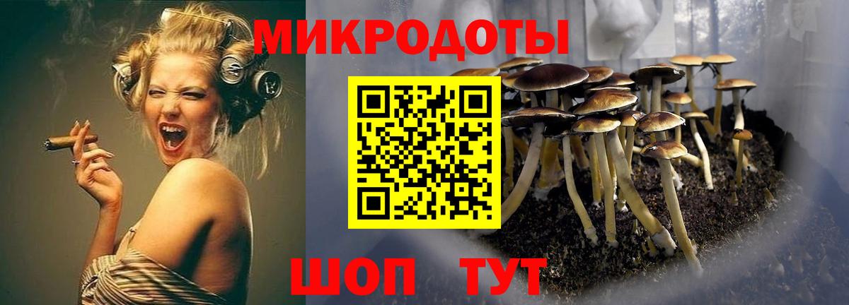 Галлюциногенные грибы Cubensis Канск