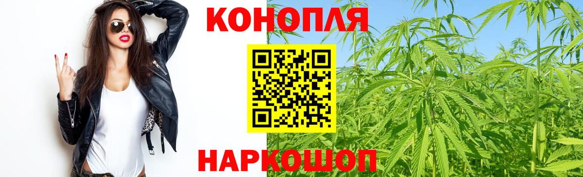 Бошки Шишки планчик  МАРИХУАНА VHQ  Вход с VPN  Марихуана план  Канск  Бошки марихуана семена 